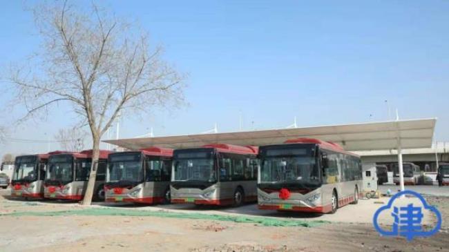 天津746路公交车停运了吗