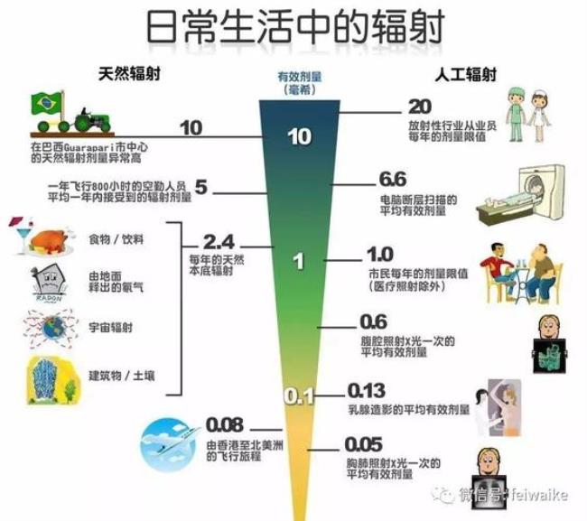 确定性效应包括哪些辐射效应