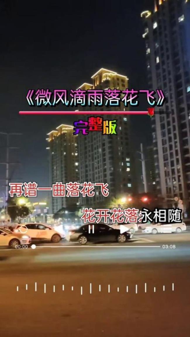 落花满大地完整版原唱