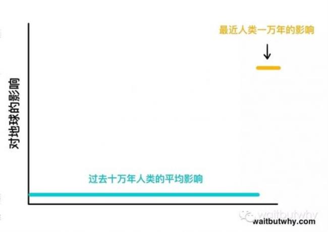 人类的生存时间统计