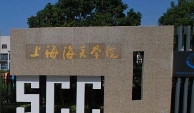 上海海关学院学什么课程