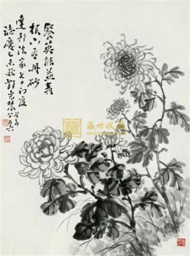 给菊花下定义