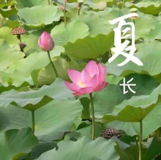 一年四季中哪个季节最好