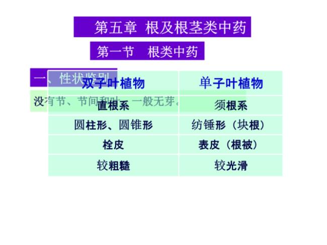 不同药材根茎的组织结构特征