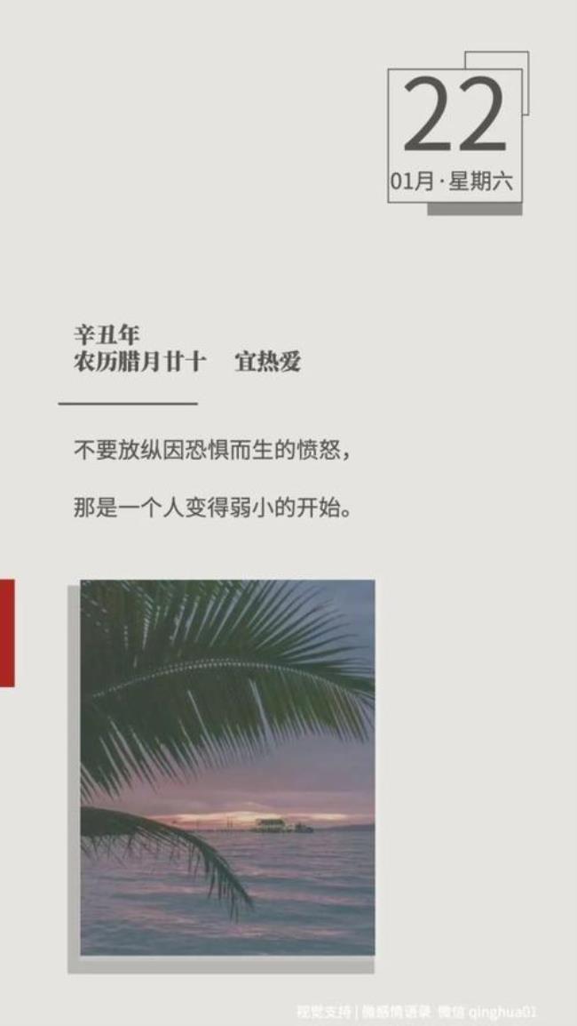 不要放纵感情什么意思