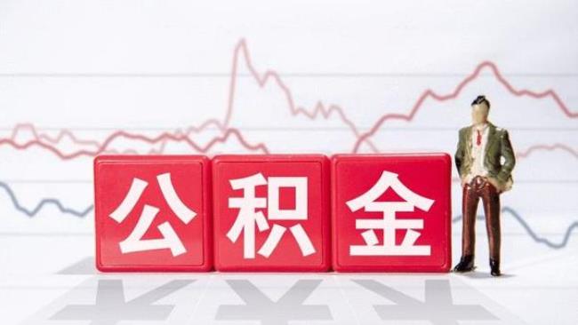 公积金交了几个月断交了查不到