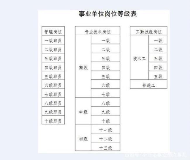 事业单位法定代表人职责