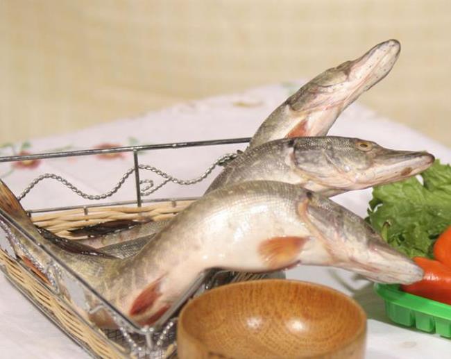 新疆福海狗鱼怎样做好吃