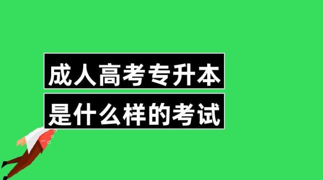 上海成人专升本有哪些学校