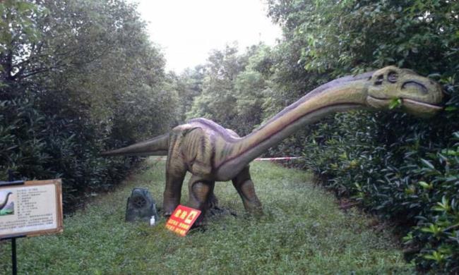 景山公园恐龙展里有什么恐龙