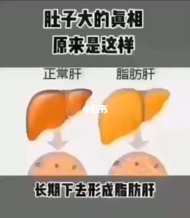 如何清除内脏脂肪