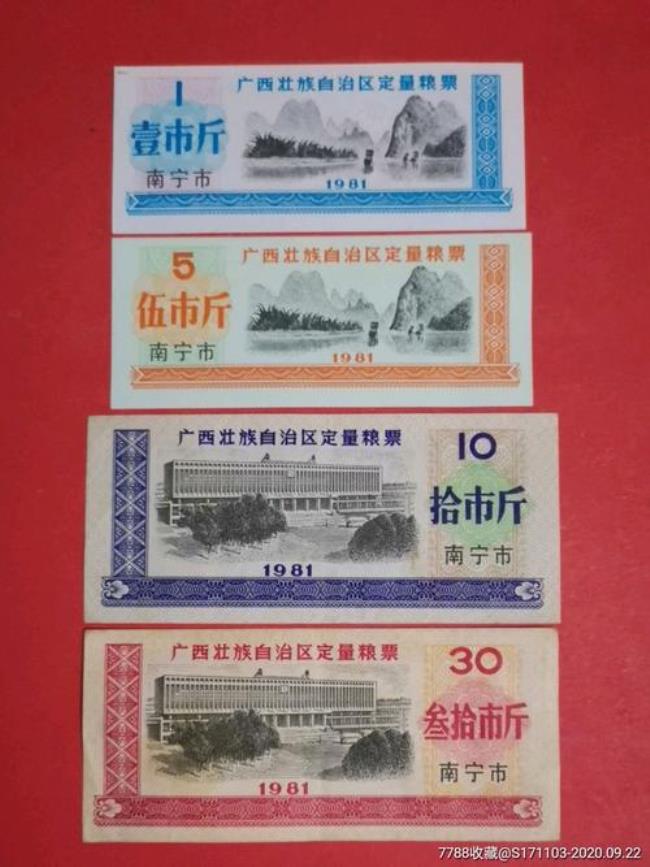 1956年在广西建立了什么制度