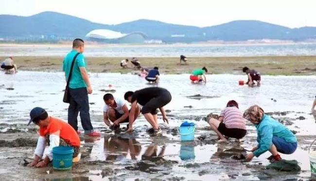 盐城滨海赶海最佳地点