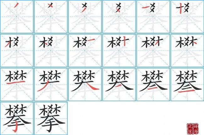 树字的笔顺怎么写