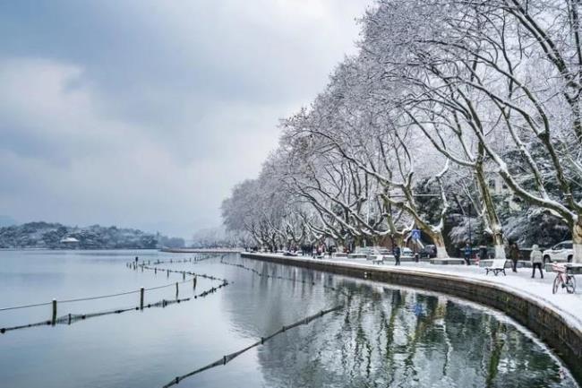 杭州每年的冬天会下雪吗