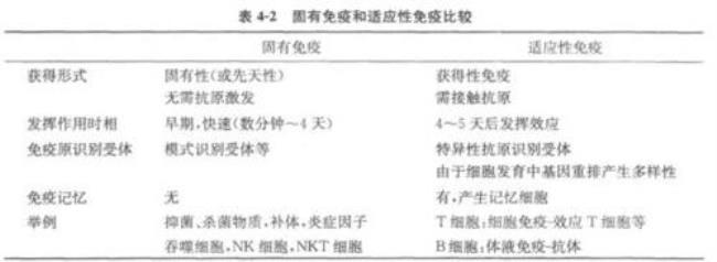 固有免疫应答具有记忆性吗