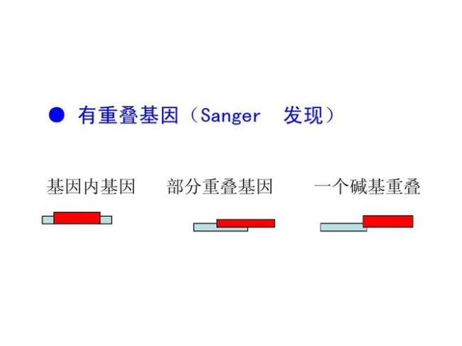 基因复制是谁提出的