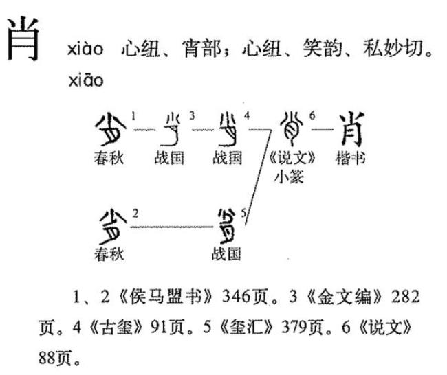 肖肖什么意思