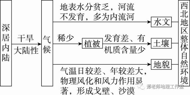 构成环境的要素不包括