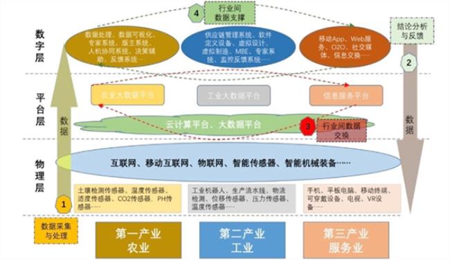 什么是数字化国家