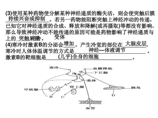 稳态的调节机制是什么