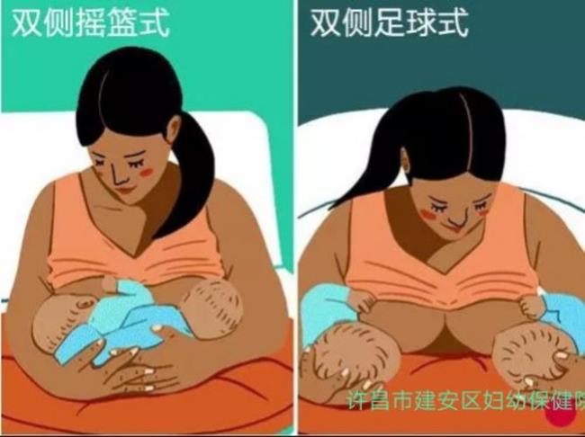 正确哺乳姿势教学