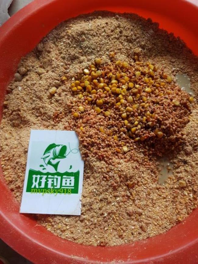 不用泡的小麦钓鱼绝招