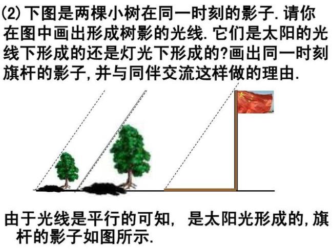 上午几点时刻影子和身高一样