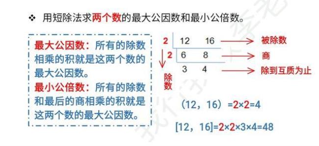 数学中公倍数是什么意思