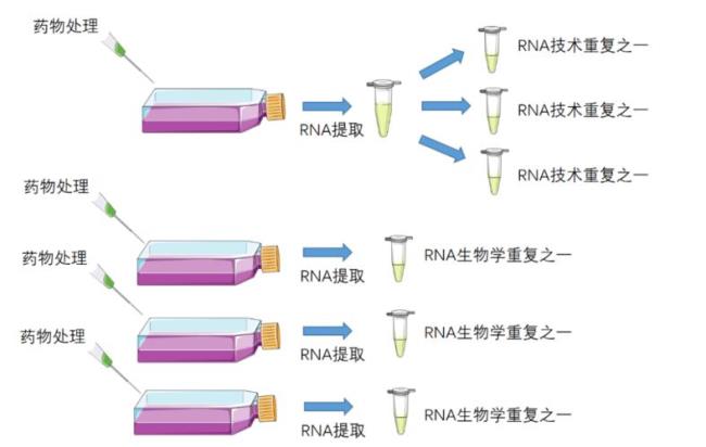 提取RNA时加乙醇的作用是什么