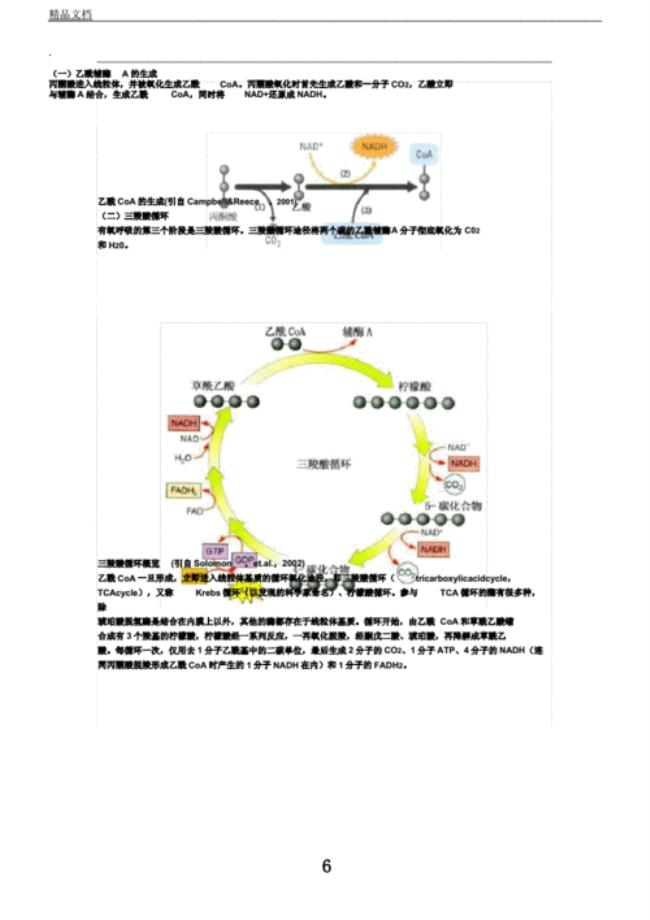 1mol葡萄糖经糖酵解过程能产生多少ATP