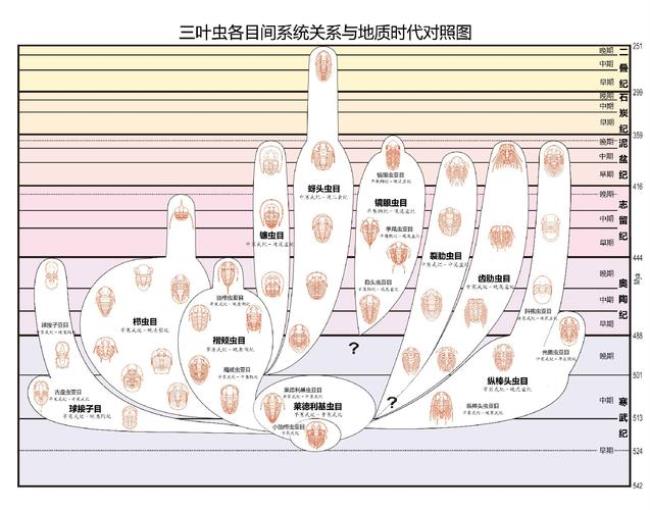 三叶虫咬人吗