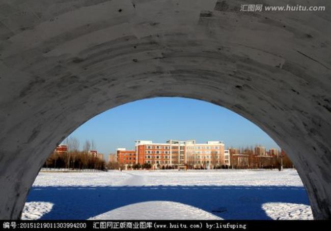 东北石油大学的背景