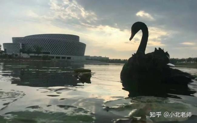 华北理工大学曹妃甸附近景点