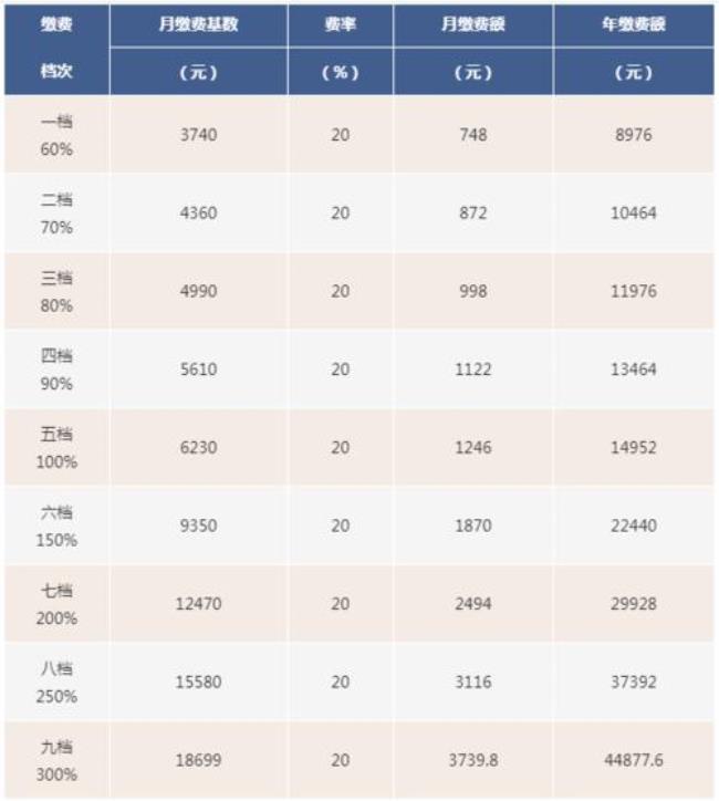 600元养老保险交三十年