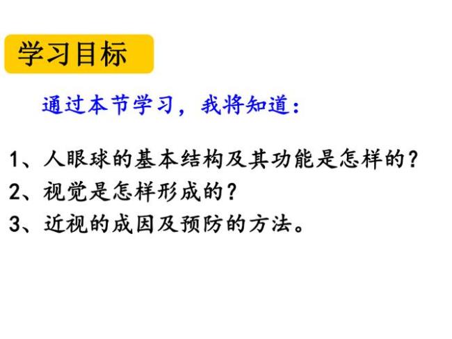 七年级生物下册眼睛总结