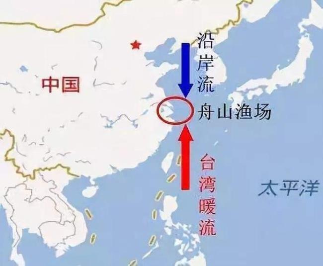 为什么寒流与暖流交汇处有渔场