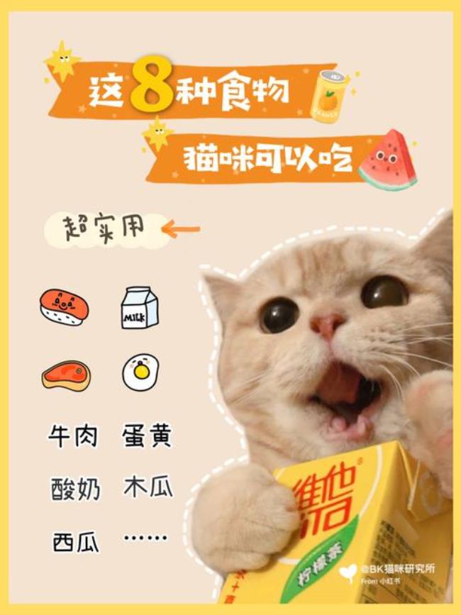 猫咪可以吃盼盼家庭号薯片吗