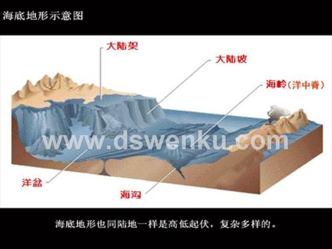 地形部位分为哪几种