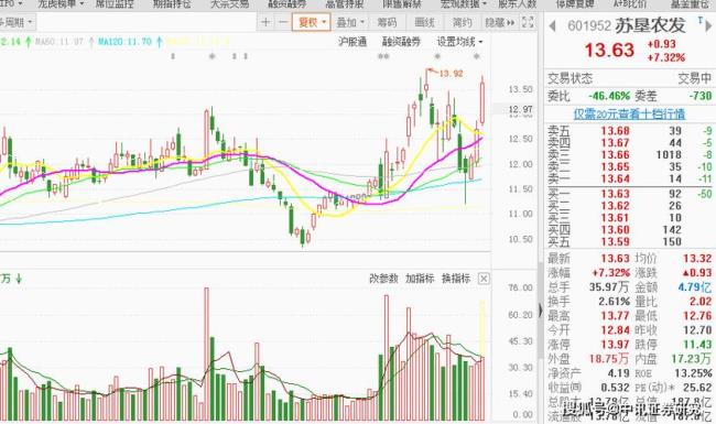 市场反扑什么意思