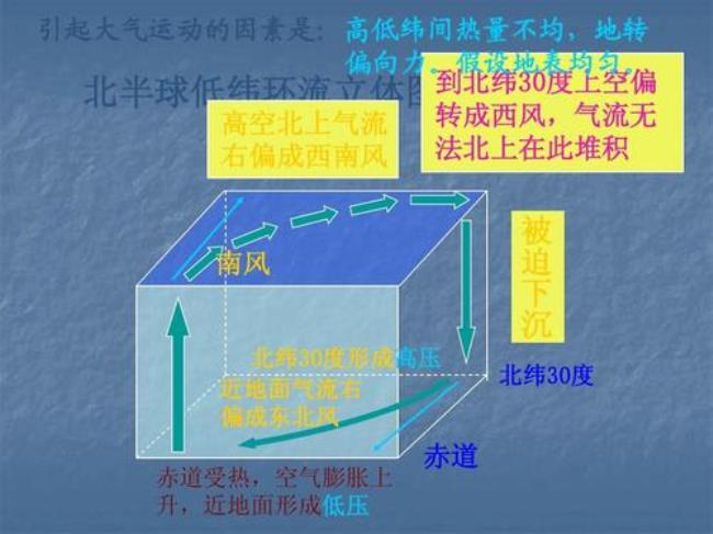 赤道有风带是谁