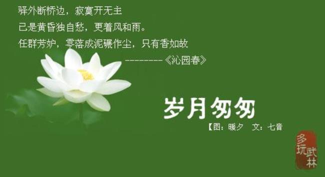 任时光匆匆流去的下一句有哪些