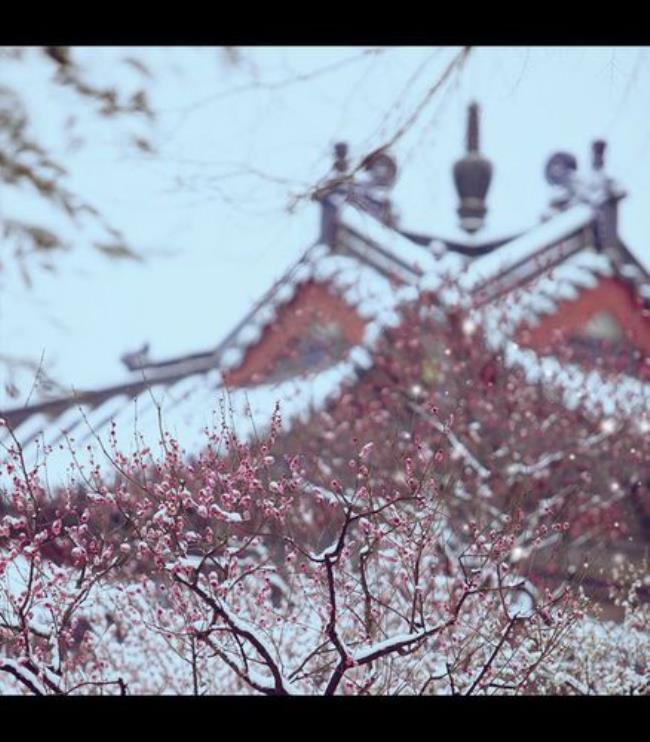 风来白云飞风去空山寂什么意思