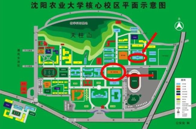 延边大学和沈阳农业大学哪个好