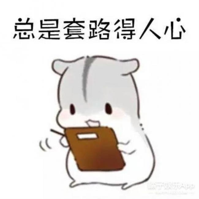 扣你系哇什么意思