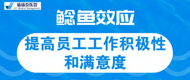 利用鲶鱼效应写一篇议论文