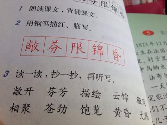 形声字的组词劲