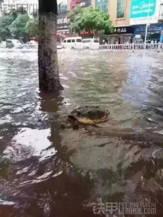 天天下雨这是什么地理现象