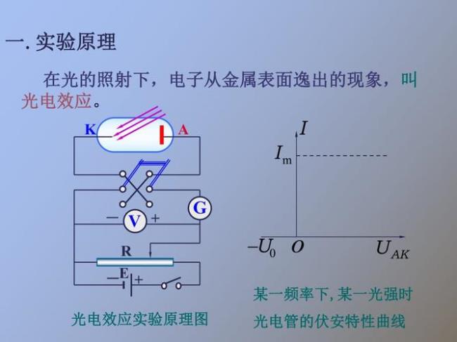 实验效应包括什么