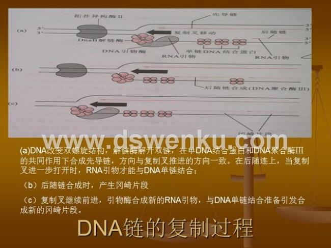 什么是复制原点